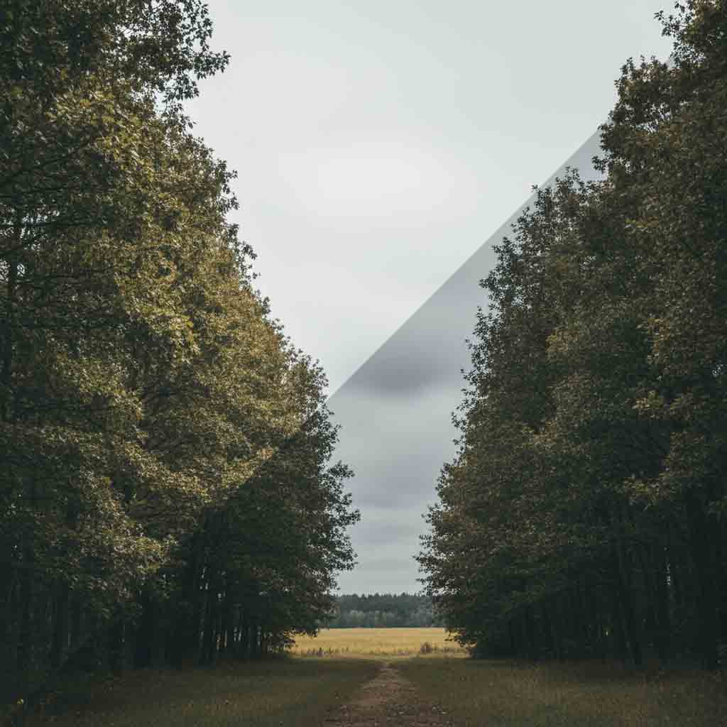 How to Brighten Background of Photo Online——A One-Click Guide to Make Your Subject Pop